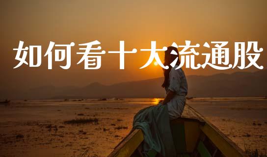 如何看十大流通股_https://www.lcjysmgs.com_德指行情直播_第1张