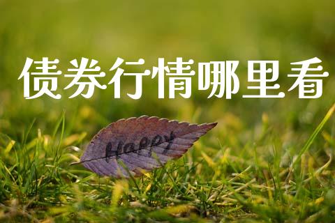 债券行情哪里看_https://www.lcjysmgs.com_德指行情直播_第1张