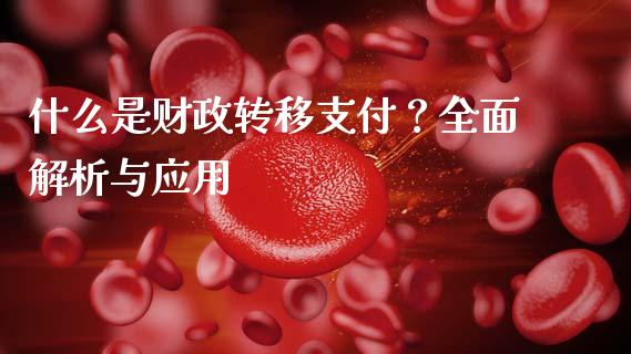 什么是财政转移支付？全面解析与应用_https://www.lcjysmgs.com_恒生指数直播_第1张