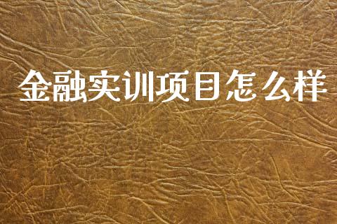 金融实训项目怎么样_https://www.lcjysmgs.com_恒指直播平台_第1张