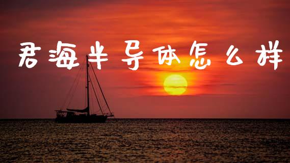 君海半导体怎么样_https://www.lcjysmgs.com_黄金期货直播喊单_第1张