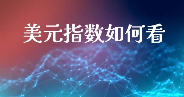 美元指数如何看_https://www.lcjysmgs.com_恒生指数直播_第1张
