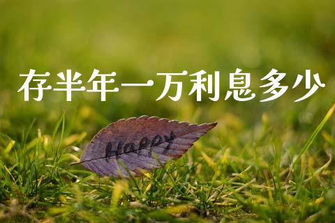 存半年一万利息多少_https://www.lcjysmgs.com_黄金期货直播喊单_第1张