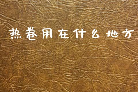 热卷用在什么地方_https://www.lcjysmgs.com_德指行情直播_第1张