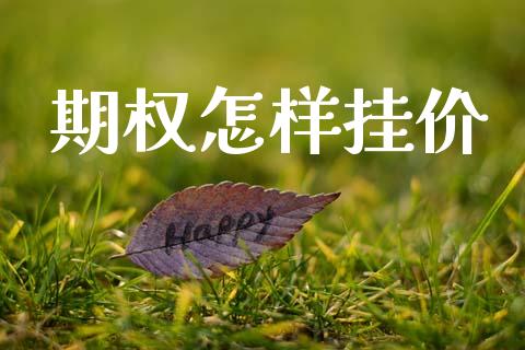 期权怎样挂价_https://www.lcjysmgs.com_德指行情直播_第1张