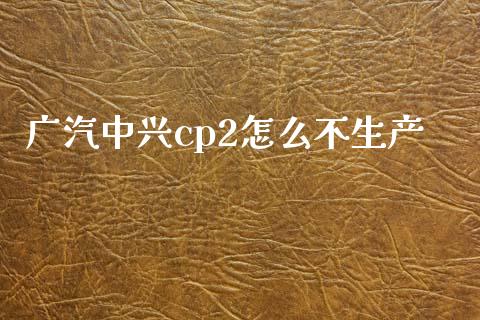 广汽中兴cp2怎么不生产_https://www.lcjysmgs.com_黄金期货直播喊单_第1张