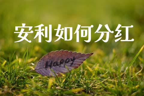 安利如何分红_https://www.lcjysmgs.com_恒指直播平台_第1张