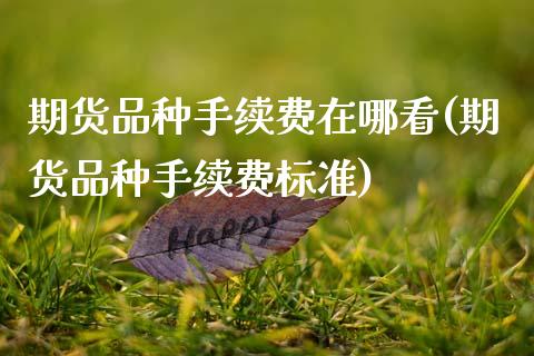 期货品种手续费在哪看(期货品种手续费标准)_https://www.lcjysmgs.com_恒指直播平台_第1张