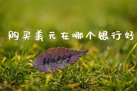 购买美元在哪个银行好_https://www.lcjysmgs.com_恒指直播平台_第1张
