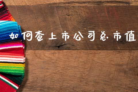 如何查上市公司总市值_https://www.lcjysmgs.com_德指行情直播_第1张