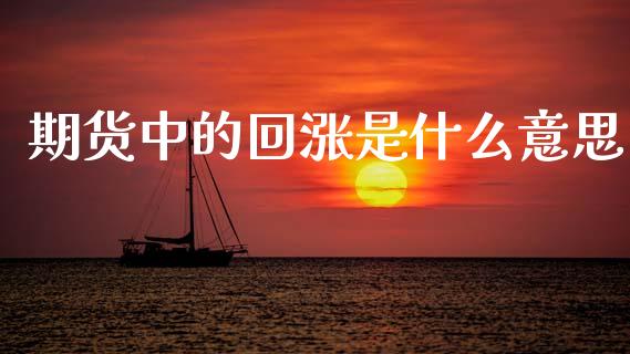期货中的回涨是什么意思_https://www.lcjysmgs.com_黄金期货直播喊单_第1张