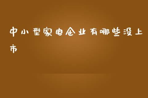 中小型家电企业有哪些没上市_https://www.lcjysmgs.com_恒指直播平台_第1张