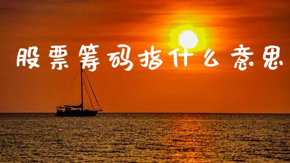 股票筹码指什么意思_https://www.lcjysmgs.com_黄金期货直播喊单_第1张