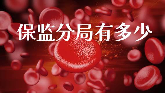 保监分局有多少_https://www.lcjysmgs.com_黄金期货直播喊单_第1张