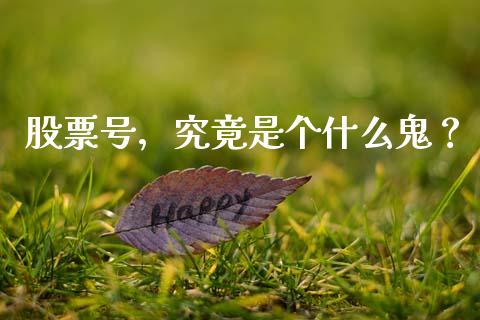 股票号，究竟是个什么鬼？_https://www.lcjysmgs.com_黄金期货直播喊单_第1张