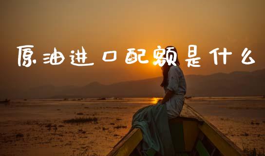 原油进口配额是什么_https://www.lcjysmgs.com_恒生指数直播_第1张