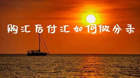 购汇后付汇如何做分录_https://www.lcjysmgs.com_恒指直播平台_第1张