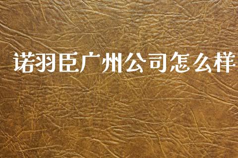 诺羽臣广州公司怎么样_https://www.lcjysmgs.com_德指行情直播_第1张
