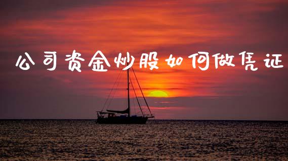公司资金炒股如何做凭证_https://www.lcjysmgs.com_黄金期货直播喊单_第1张