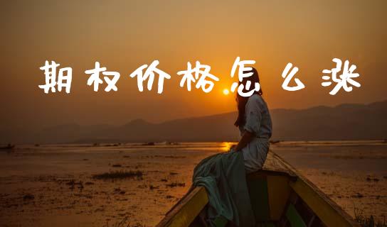 期权价格怎么涨_https://www.lcjysmgs.com_黄金期货直播喊单_第1张