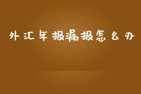 外汇年报漏报怎么办_https://www.lcjysmgs.com_德指行情直播_第1张