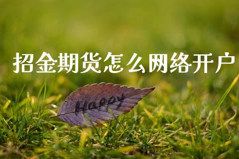 招金期货怎么网络开户_https://www.lcjysmgs.com_恒生指数直播_第1张