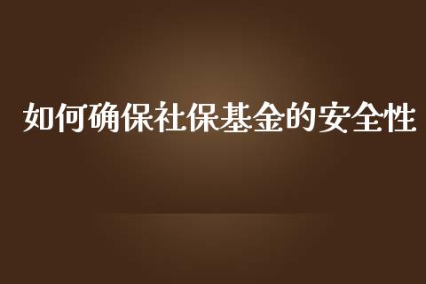 如何确保社保基金的安全性_https://www.lcjysmgs.com_德指行情直播_第1张