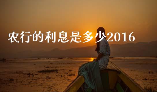 农行的利息是多少2016_https://www.lcjysmgs.com_恒指直播平台_第1张