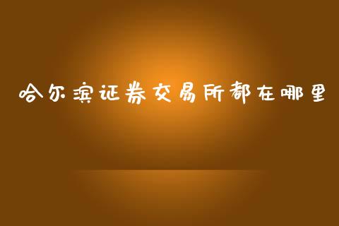 哈尔滨证券交易所都在哪里_https://www.lcjysmgs.com_恒生指数直播_第1张