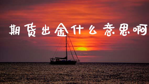 期货出金什么意思啊_https://www.lcjysmgs.com_德指行情直播_第1张