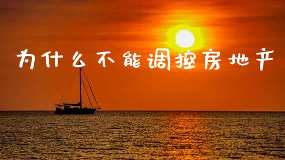 为什么不能调控房地产_https://www.lcjysmgs.com_德指行情直播_第1张
