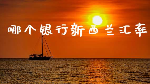 哪个银行新西兰汇率_https://www.lcjysmgs.com_德指行情直播_第1张