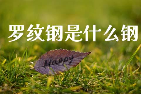 罗纹钢是什么钢_https://www.lcjysmgs.com_黄金期货直播喊单_第1张