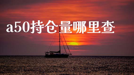 a50持仓量哪里查_https://www.lcjysmgs.com_恒指直播平台_第1张