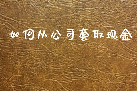 如何从公司套取现金_https://www.lcjysmgs.com_恒生指数直播_第1张