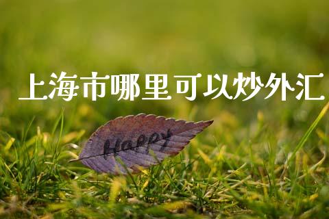 上海市哪里可以炒外汇_https://www.lcjysmgs.com_德指行情直播_第1张