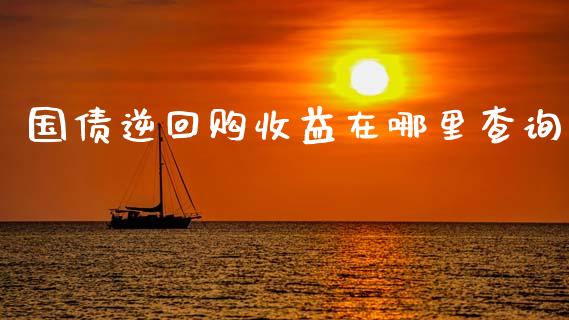国债逆回购收益在哪里查询_https://www.lcjysmgs.com_德指行情直播_第1张