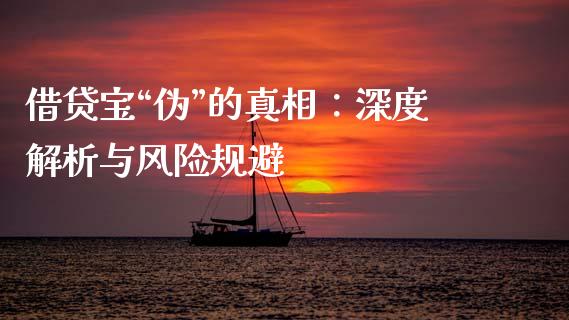 借贷宝“伪”的真相：深度解析与风险规避_https://www.lcjysmgs.com_恒生指数直播_第1张