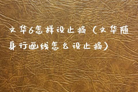 文华6怎样设止损（文华随身行画线怎么设止损）_https://www.lcjysmgs.com_黄金期货直播喊单_第1张