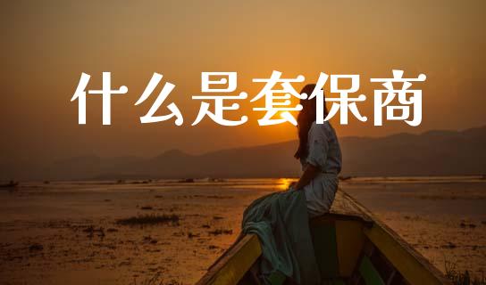 什么是套保商_https://www.lcjysmgs.com_恒生指数直播_第1张