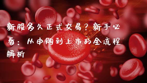 新股多久正式交易？新手必看：从申购到上市的全流程解析_https://www.lcjysmgs.com_恒指直播平台_第1张