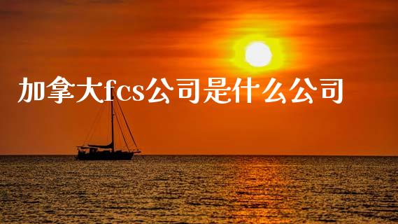 加拿大fcs公司是什么公司_https://www.lcjysmgs.com_德指行情直播_第1张