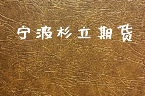 宁波杉立期货_https://www.lcjysmgs.com_黄金期货直播喊单_第1张