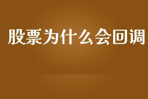 股票为什么会回调_https://www.lcjysmgs.com_德指行情直播_第1张