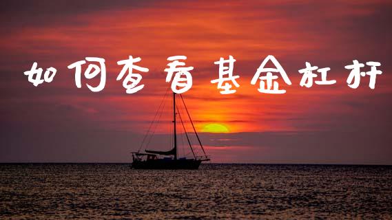 如何查看基金杠杆_https://www.lcjysmgs.com_恒指直播平台_第1张
