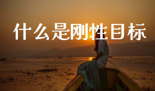 什么是刚性目标_https://www.lcjysmgs.com_黄金期货直播喊单_第1张