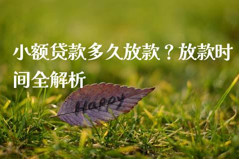 小额贷款多久放款？放款时间全解析_https://www.lcjysmgs.com_德指行情直播_第1张