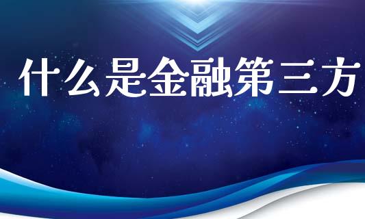 什么是金融第三方_https://www.lcjysmgs.com_恒指直播平台_第1张