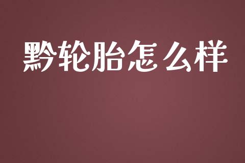 黔轮胎怎么样_https://www.lcjysmgs.com_德指行情直播_第1张