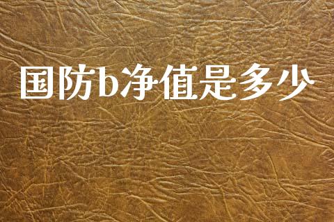 国防b净值是多少_https://www.lcjysmgs.com_恒指直播平台_第1张